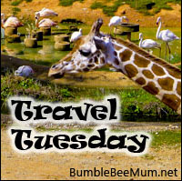 Travel Tuesday Bumble Bee Mum